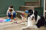 A young child in a white headband and casual clothes is drawing with markers on the floor near a staircase, epitomizing lifestyle photography. A black and white dog lies beside them, gazing at the camera amid scattered craft supplies.